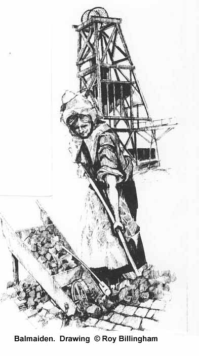 Drawing of Balmaiden by Roy BILLINGHAM in